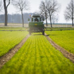 Auf einem Versuchsfeld ist ein Traktor mit einem Pneumatikstreuer ohne ISOBUS bei der teilflächenspezifischen Stickstoff-Düngung zu sehen.