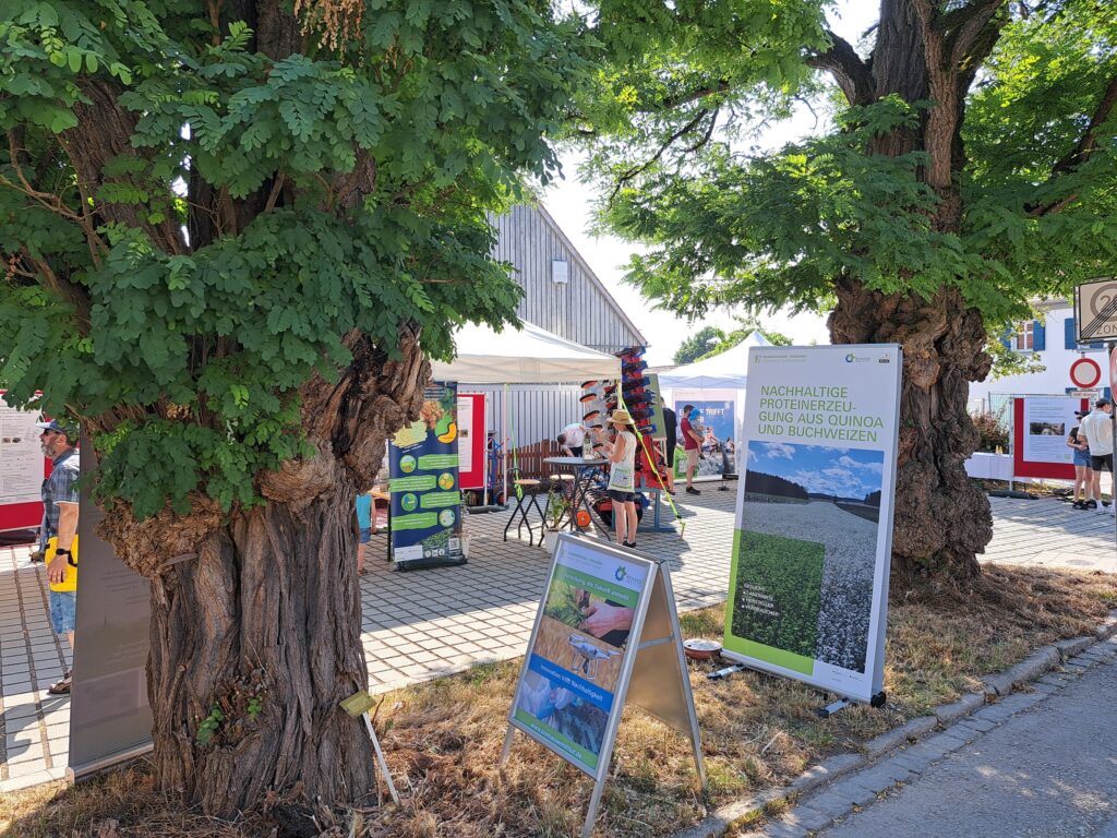 Unser Foto zeigt den Stand des Biomasse-Instituts am Johannitag 2026.