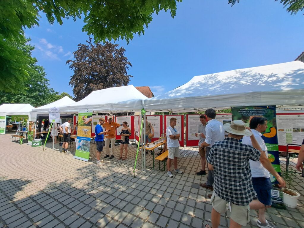 Unser Foto zeigt den Stand des Biomasse-Instituts am Johannitag 2026.
