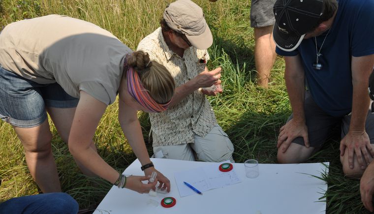 Unser Foto zeigt die Bestimmungsaktion im Rahmen des Online-Weiterbildungs-Projektes 'Raum für Vielfalt' (Foto: HSWT)