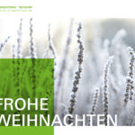 Unser Foto zeigt die Weihnachtskarte der HSWT im Jahr 2025