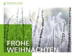 Unser Foto zeigt die Weihnachtskarte der HSWT im Jahr 2025