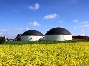 Biogasanlage mit Rapsfeld