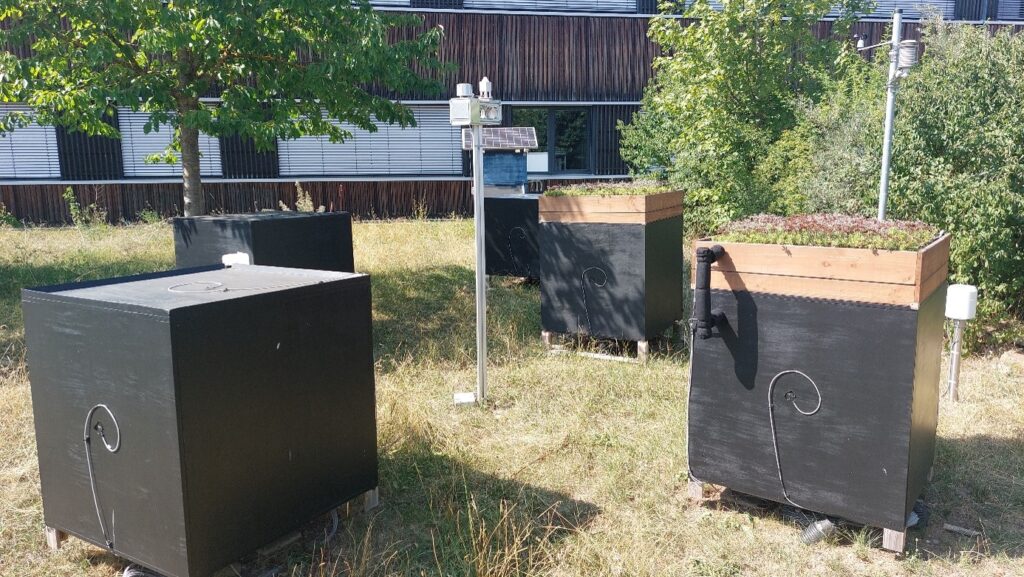 Unser Foto zeigt Versuchsstand (Testgebäude) zur Untersuchung von Dachbegrünung, Foto: HSWT