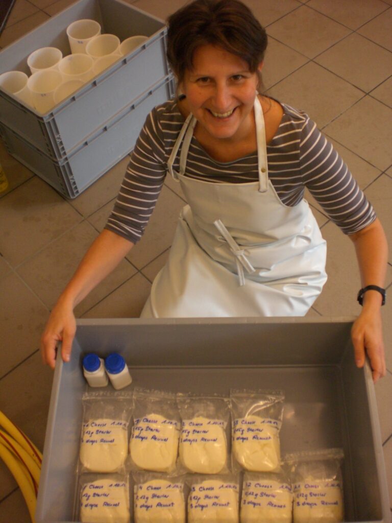 Unser Foto zeigt Bettina Fähnrich bei der Frischkäseproduktion an der Veterinärmedizinischen Universität Wien zur Überprüfung des Transfers sekundärer Pflanzenstoffe vom Futter in die Milch. (Foto: privat)