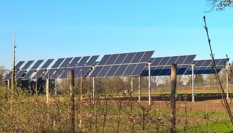 Unser Foto zeigt eine Agrarphotovoltaikanlage am Campus Weihenstephan der Hochschule Weihenstephan-Triesdorf (Bild: HSWT/Michael Beck)