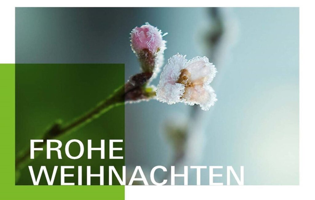 Unser Foto zeigt die digitale Weihnachtskarte der HSWT im Jahr 2024