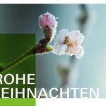 Unser Foto zeigt die digitale Weihnachtskarte der HSWT im Jahr 2024