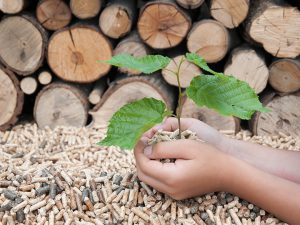 Eine Hand hält einen jungen Baum und Holzpellets. Im Hintergrund ein Holzstapel und Holzpellets