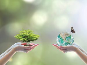 Zwei Hände halten einen Baum und eine Weltkugel mit Schmetterling