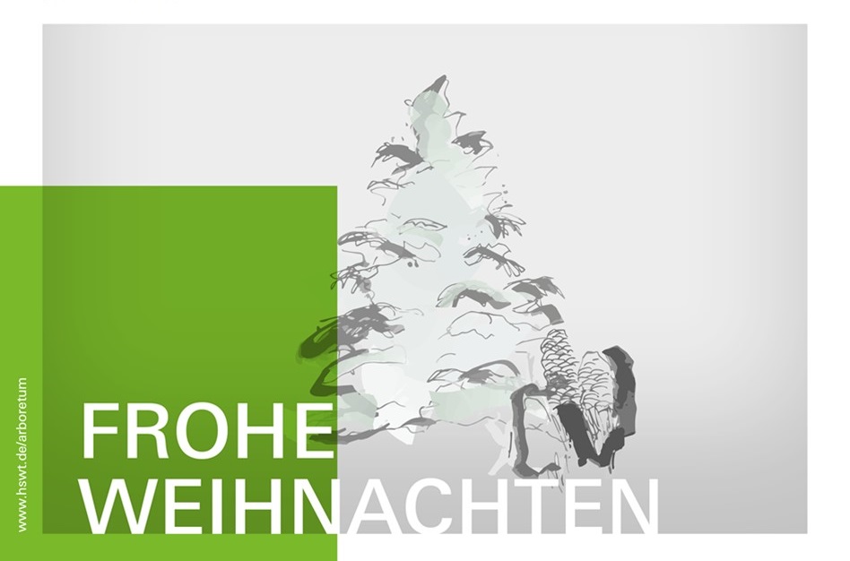 Unser Foto zeigt die Weihnachtskarte des Biomasse-Instituts des Jahres 2021 mit einen gezeichneten Weihnachtsbaum