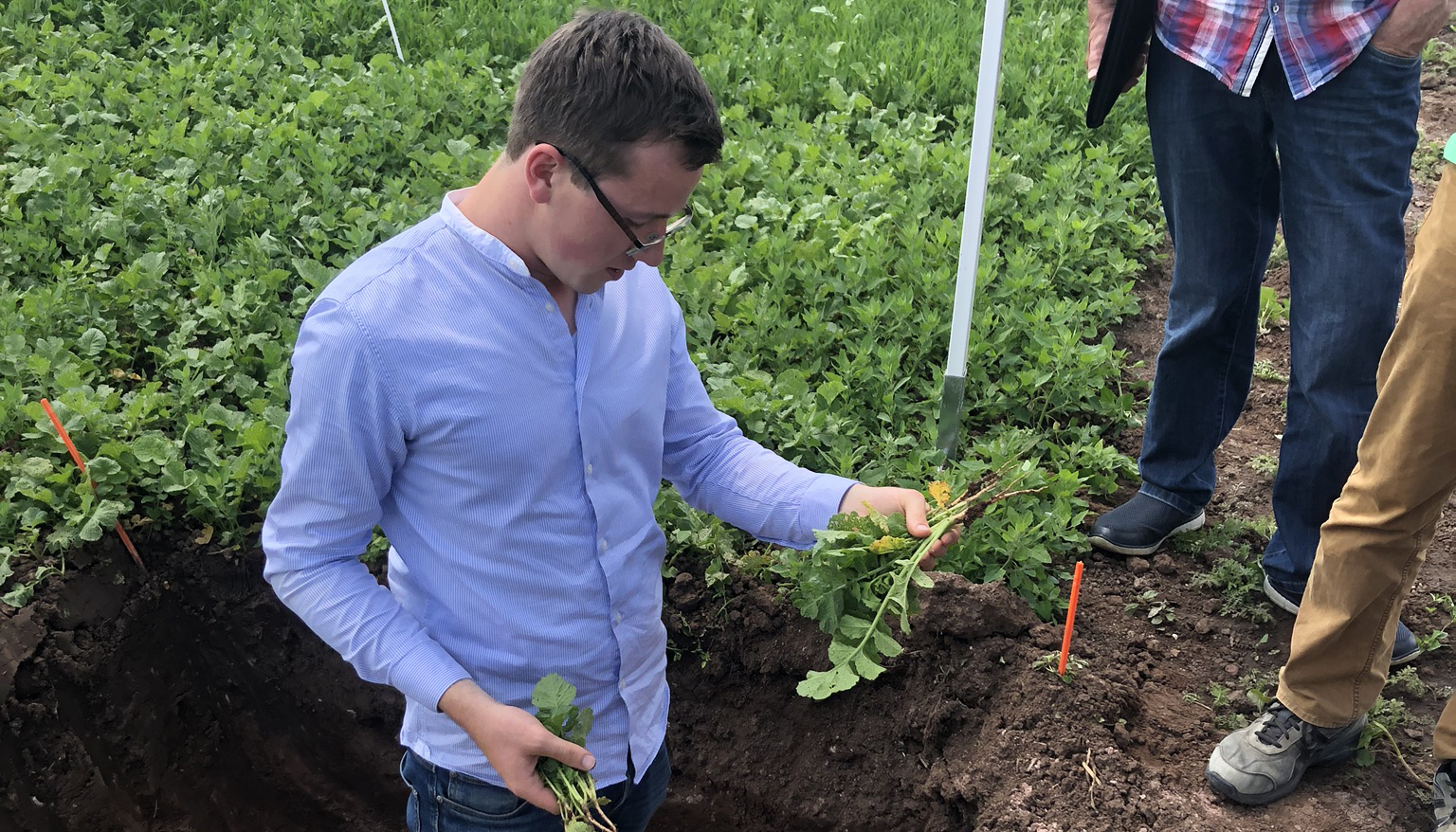 Robin Kümmerer steht auf dem Feld in einem Loch und hält Gewächse in der Hand